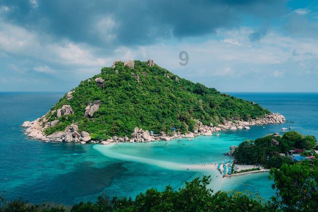 探索知识星球平台——合欢树作为盆景,应该如何控制它的长势?,汇聚大师认知